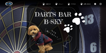 DARTS BAR B=SKY